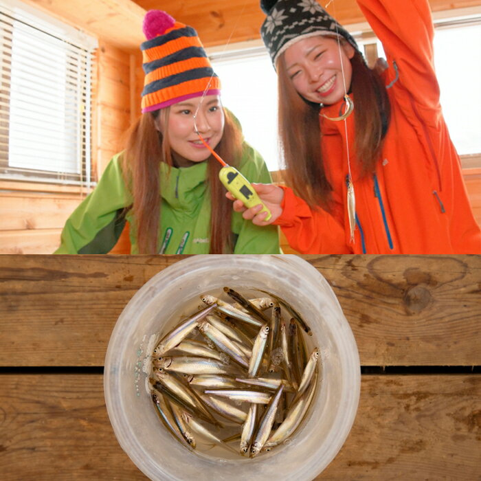 【ふるさと納税】【裏磐梯】檜原湖・小野川湖　年釣遊漁承認証 引換券 【 ふるさと納税 人気 おすすめ ランキング 釣り つり ワカサギ ワカサギ釣り 渓流釣り 船釣り チケット 体験 冬 冬休み 福島県 北塩原村 送料無料 】 KBV001 - 画像3