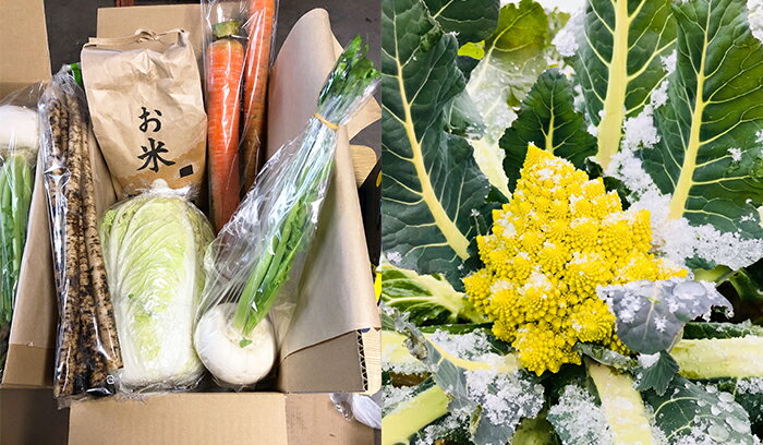 【ふるさと納税】西会津ミネラル元氣米＋秋・冬野菜セット（大） 米 お米 おこめ ご飯 ごはん 福島県 西会津町 F4D-0120 - 画像2