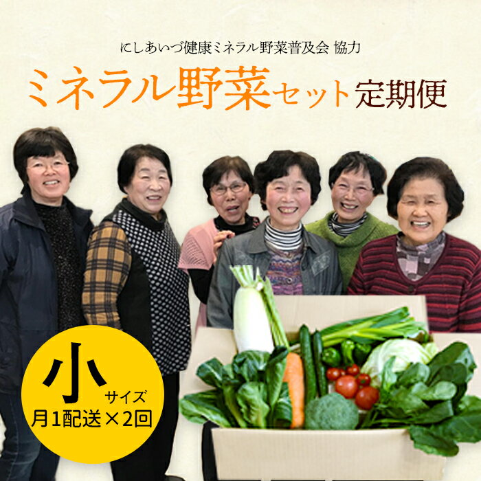 西会津ミネラル野菜セット定期便（小）2回 F4D-1404