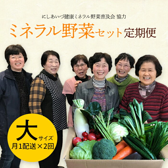 西会津ミネラル野菜セット定期便（大）2回 F4D-1400