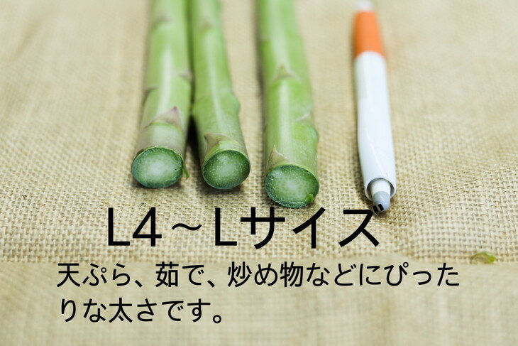 【ふるさと納税】26-A 鮮度抜群！佐瀬農園のグリーンアスパラガス ※2026年4月中旬～9月上旬頃に順次発送予定 - 画像2