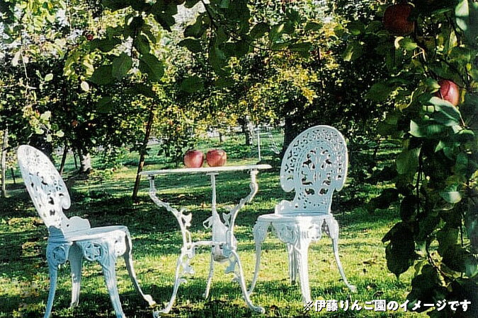 【ふるさと納税】50-F 伊藤りんご園 サンふじ 5kg｜りんご リンゴ 林檎 果物 くだもの フルーツ 福島県 会津坂下町 ※2025年11月上旬頃より順次発送予定 サムネイル3