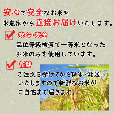【ふるさと納税】＜令和7年産＞ミルキークイーン精米　一等米!　選べる5kg・10kg・20kg　【07461-0007-8-0227】　福島 西郷村 ふるさと ミルキークイーン 新米 5kg 10kg 20kg 米 コメ こめ 精米 白米 ご飯 ごはん 白飯 お米 kome 送料無料 - 画像3