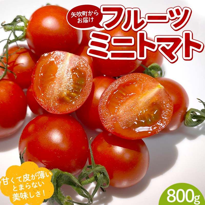 プチっと甘みがはじける！とにかく美味しい フルーツミニトマト 800g おやつやビールのおつまみにも！ F6U-143