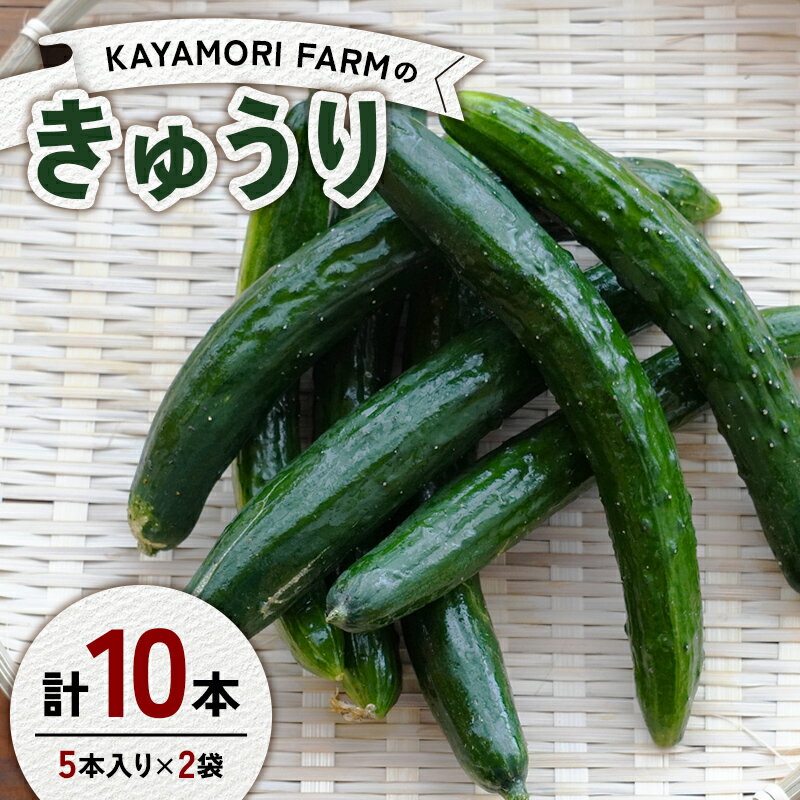 KAYAMORI FARMのきゅうり 計10本（5本入り×2袋） F6U-371