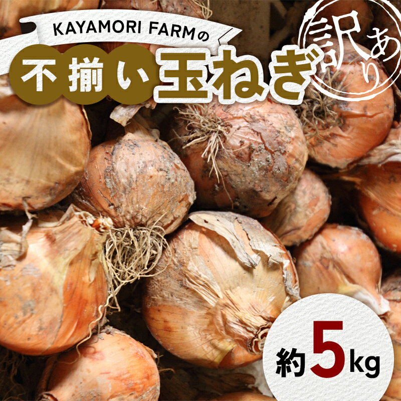 KAYAMORI FARMの不揃い玉ねぎ 約5kg 訳アリ玉ねぎ F6U-377
