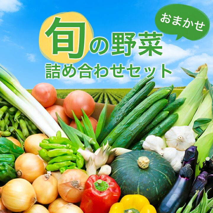 旬の野菜詰め合わせセット 石安米肥店_ 野菜 セット 詰め合わせ 季節 旬野菜 産地直送 新鮮 美味しい 人気 おすすめ 送料無料 【1017731】