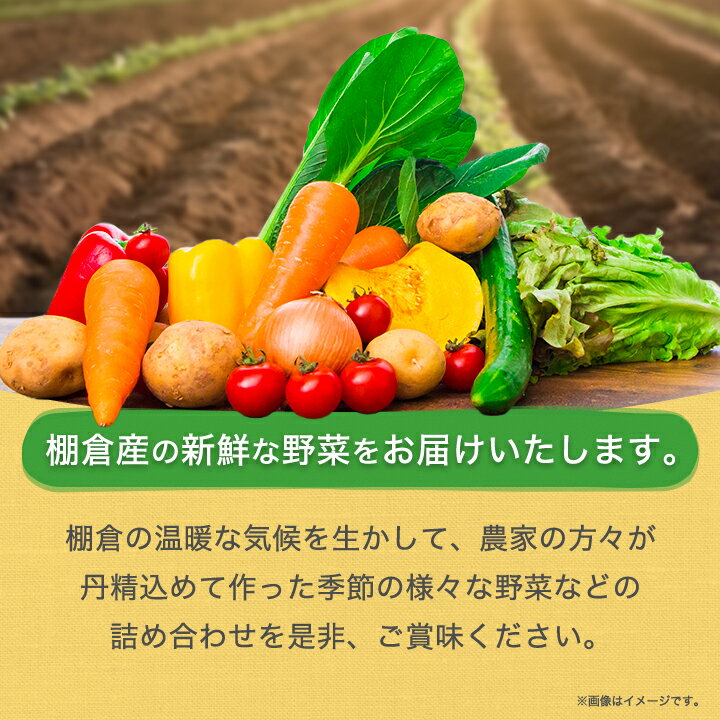【ふるさと納税】旬の野菜詰め合わせセット 石安米肥店_ 野菜 セット 詰め合わせ 季節 旬野菜 産地直送 新鮮 美味しい 人気 おすすめ 送料無料 【1017731】 サムネイル2