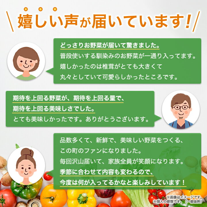 【ふるさと納税】旬の野菜詰め合わせセット 石安米肥店_ 野菜 セット 詰め合わせ 季節 旬野菜 産地直送 新鮮 美味しい 人気 おすすめ 送料無料 【1017731】 サムネイル3