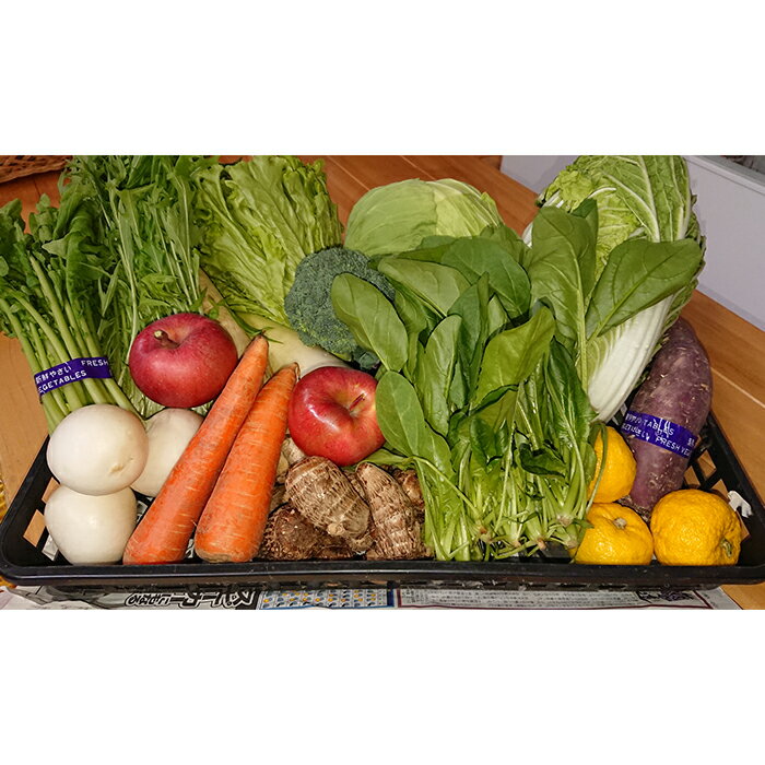 【ふるさと納税】季節の産直売場の野菜と果物詰め合わせ（小） FT18-256 - 画像2