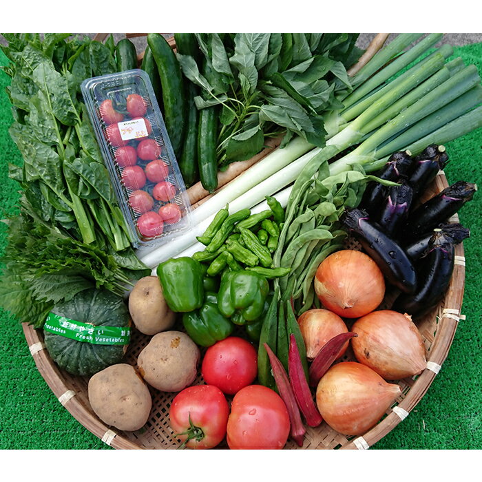 【ふるさと納税】季節の産直売場の野菜と果物詰め合わせ（大） FT18-257 - 画像2