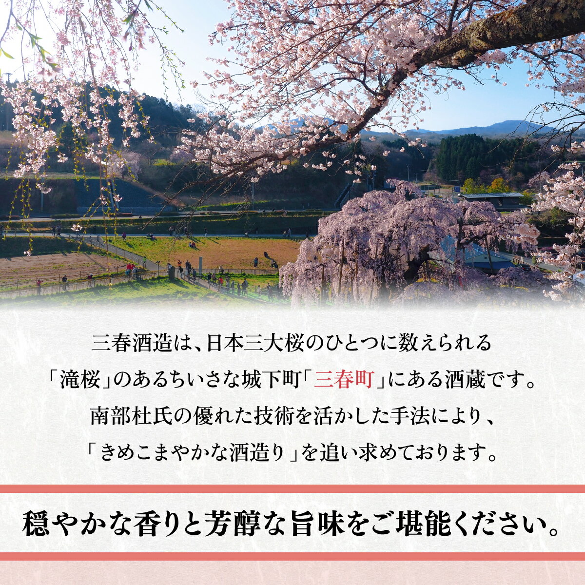 【ふるさと納税】【三春のお酒】三春駒純米大吟醸『煌』720ml×1本 【地酒 さけ アルコール 瓶 お中元 父の日 夏 ギフト プレゼント 贈り物 贈答 お祝い ご自宅用】【07521-0008】 サムネイル2