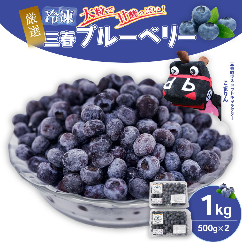 三春冷凍ブルーベリー 500g×2パック／計1kg 【三春町産 冷凍ブルーベリー 大粒 福島県 三春町 三春ブルーベリー倶楽部 有機質肥料 果物 国産 フルーツ 果実 旬 お中元 夏 ギフト プレゼント 贈り物 贈答】【07521-0107】