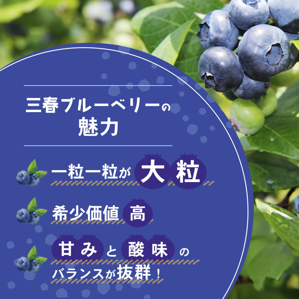 【ふるさと納税】三春冷凍ブルーベリー 500g×2パック／計1kg 【三春町産 冷凍ブルーベリー 大粒 福島県 三春町 三春ブルーベリー倶楽部 有機質肥料 果物 国産 フルーツ 果実 旬 お中元 夏 ギフト プレゼント 贈り物 贈答】【07521-0107】 サムネイル2