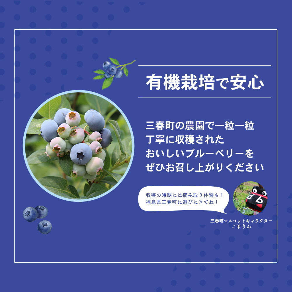 【ふるさと納税】【訳アリ】三春冷凍ブルーベリー 1kg×2袋／計2kg【三春町産 冷凍ブルーベリー 大粒 福島県 三春町 三春ブルーベリー倶楽部 有機質肥料 果物 国産 フルーツ 果実 旬】　【07521-0110】 サムネイル3
