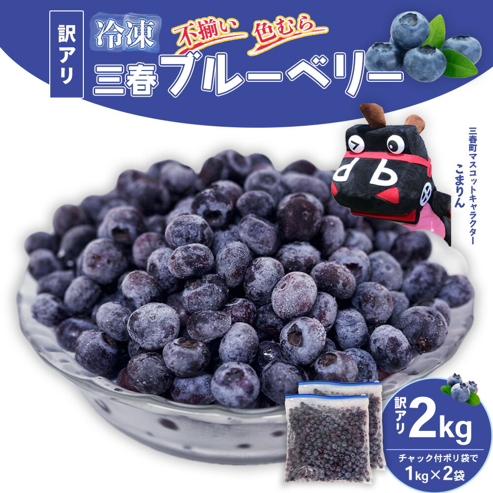 【訳アリ】三春冷凍ブルーベリー 1kg×2袋／計2kg【三春町産 冷凍ブルーベリー 大粒 福島県 三春町 三春ブルーベリー倶楽部 有機質肥料 果物 国産 フルーツ 果実 旬】　【07521-0110】