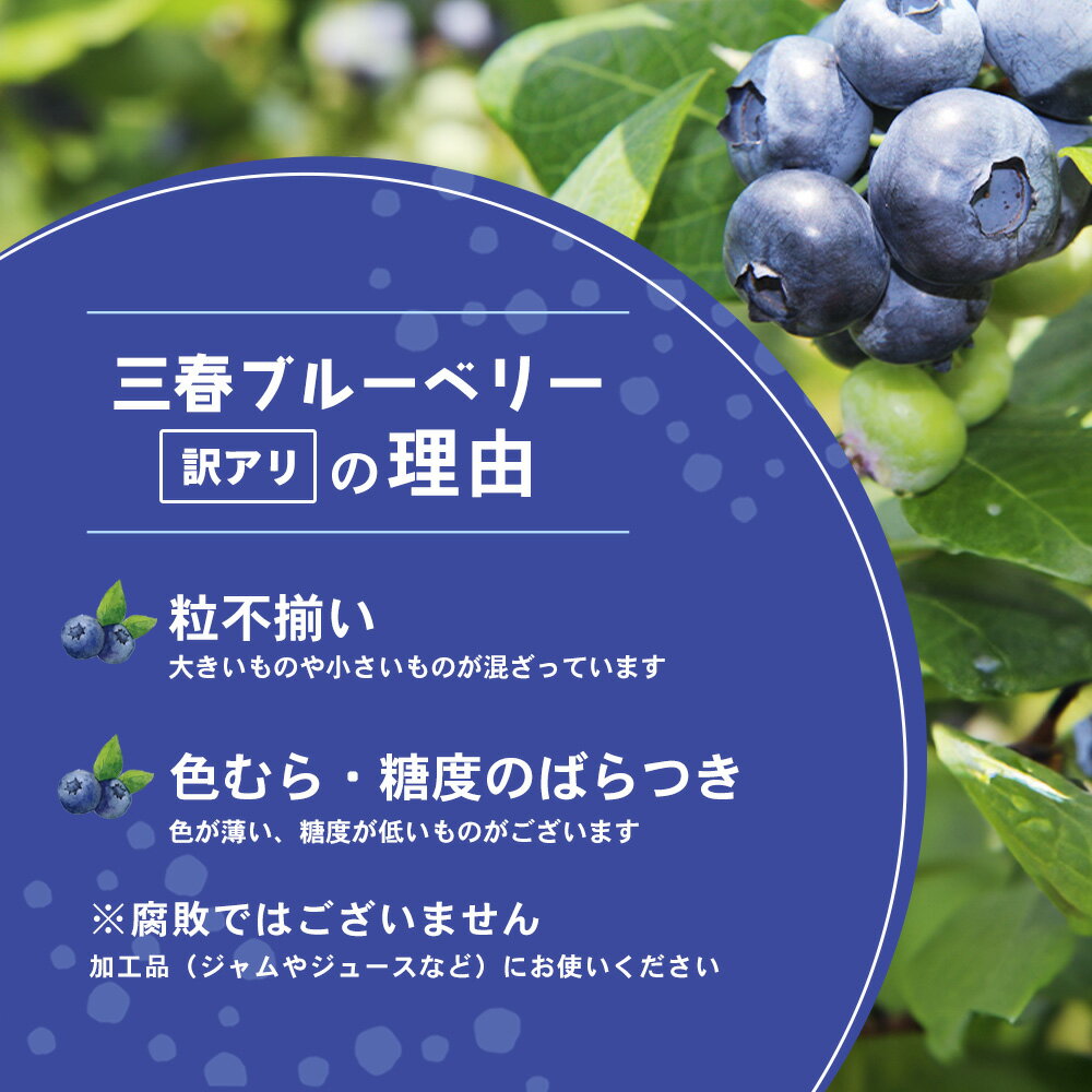 【ふるさと納税】【訳アリ】三春冷凍ブルーベリー 1kg×2袋／計2kg【三春町産 冷凍ブルーベリー 大粒 福島県 三春町 三春ブルーベリー倶楽部 有機質肥料 果物 国産 フルーツ 果実 旬】　【07521-0110】 サムネイル2