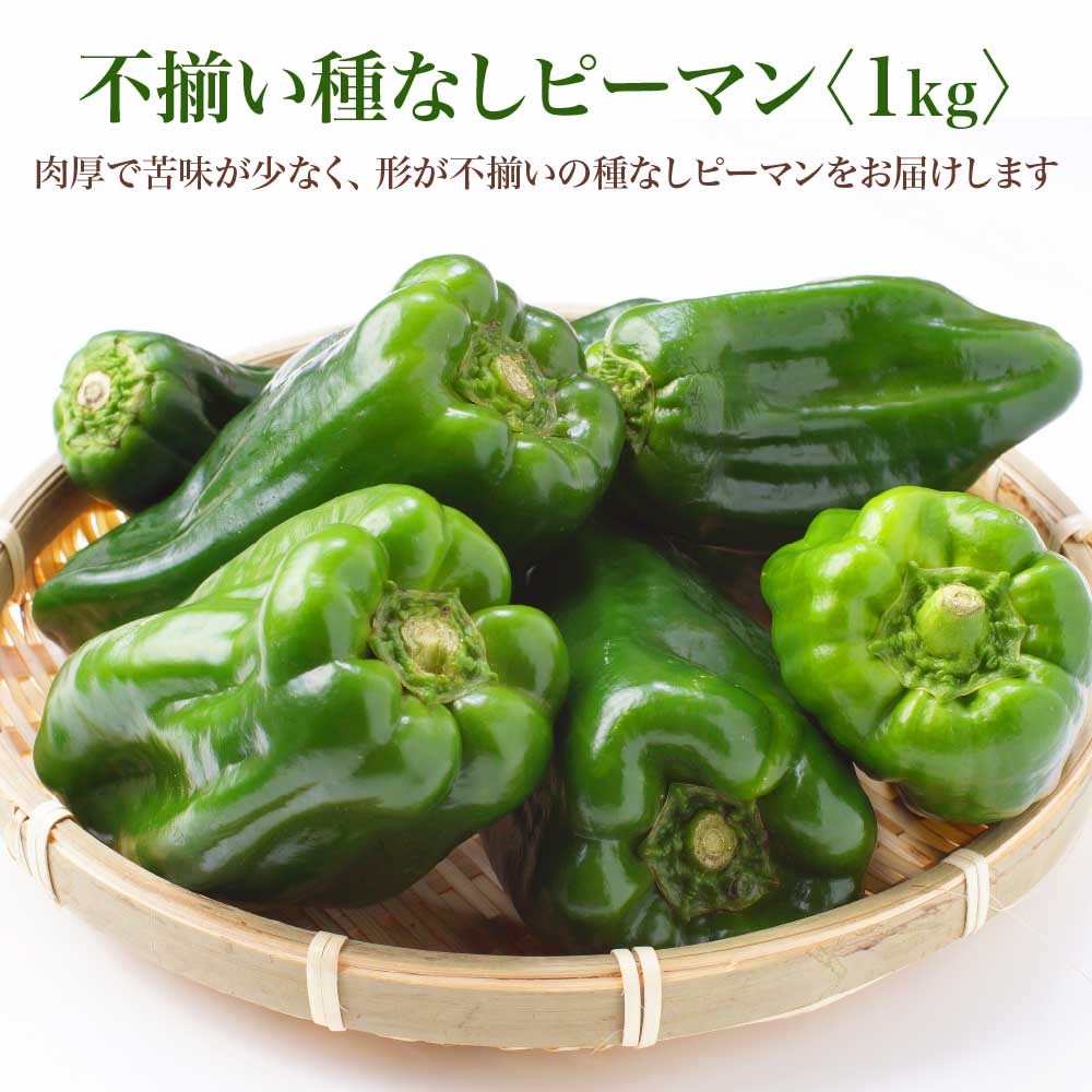 【先行予約】不揃い種なしピーマン（SSサイズ）1kg【2026年7月発送】 野菜 ピーマン 福島県 三春町 グリーンファーム込木 【07521-0139】