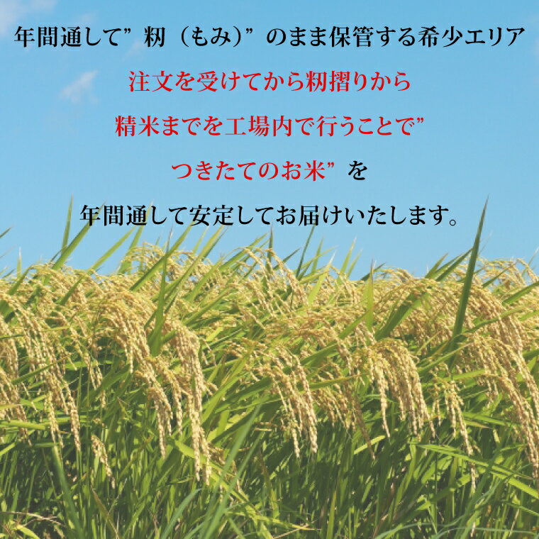 【ふるさと納税】【選べる回数】【令和7年産】茨城県産コシヒカリ 宝蔵米 10kg【定期便 お米 米 菊池 こしひかり つきたてのお米 食味ランキング特A評価 茨城県 水戸市】（CZ-1002）※離島への発送不可 - 画像2