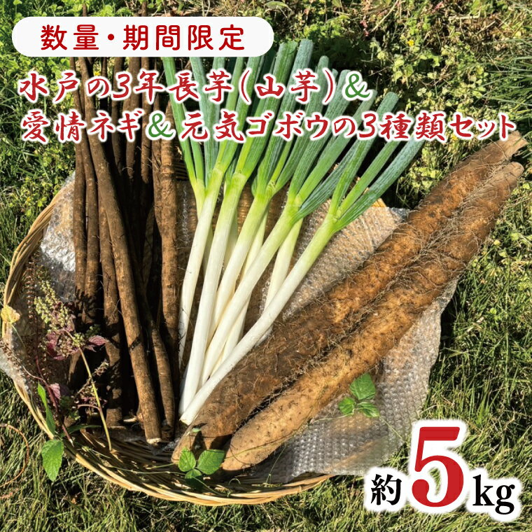 【2026年11月下旬～2027年1月下旬配送】戸の3年長芋（山芋）＆愛情ネギ＆元気ゴボウの3種類セット【茨城県産 野菜 やさい 野菜セット 水戸野菜 ごぼう 牛蒡 ながいも やまいも ねぎ 葱 国産 新鮮 産地直送 農家直送 生産者】（HD-2）