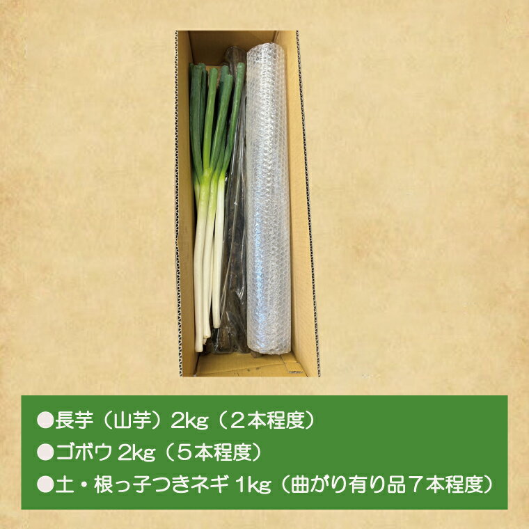 【ふるさと納税】【2026年11月下旬～2027年1月下旬配送】戸の3年長芋（山芋）＆愛情ネギ＆元気ゴボウの3種類セット【茨城県産 野菜 やさい 野菜セット 水戸野菜 ごぼう 牛蒡 ながいも やまいも ねぎ 葱 国産 新鮮 産地直送 農家直送 生産者】（HD-2） - 画像2