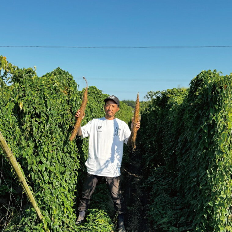 【ふるさと納税】【2026年11月下旬～2027年1月下旬配送】戸の3年長芋（山芋）＆愛情ネギ＆元気ゴボウの3種類セット【茨城県産 野菜 やさい 野菜セット 水戸野菜 ごぼう 牛蒡 ながいも やまいも ねぎ 葱 国産 新鮮 産地直送 農家直送 生産者】（HD-2） - 画像3