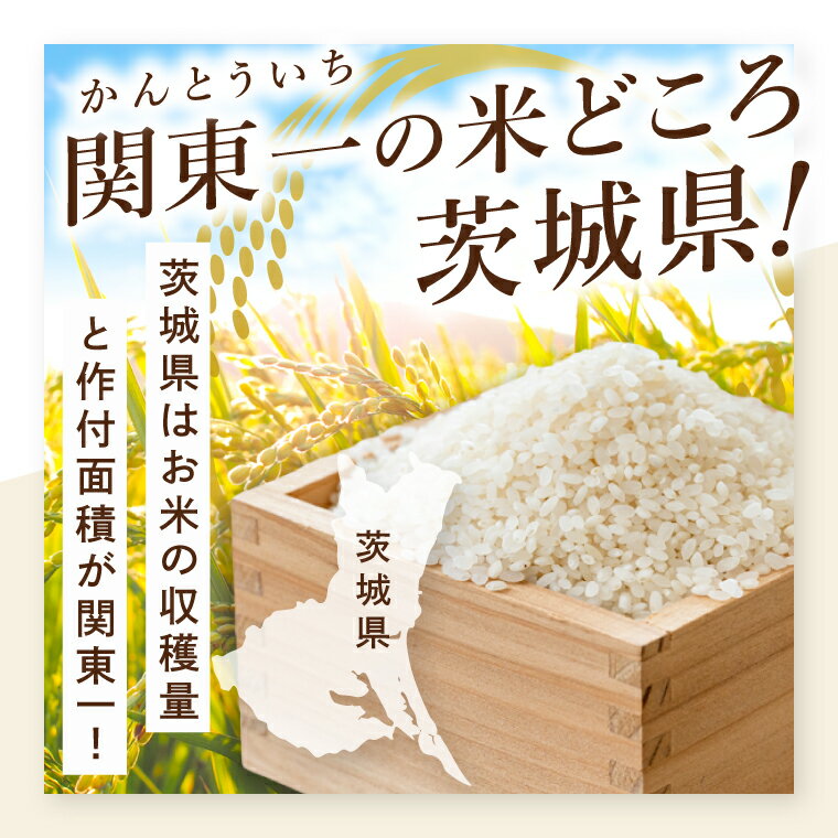 【ふるさと納税】【選べる内容量】【数量限定】【令和7年産】【令和8年産 新米】茨城県産にじのきらめき5kg.10kg.20kg（茨城県共通返礼品/城里町）【お米 ごはん おいしい 白米 茨城県産 水戸市】（IH-94） - 画像2