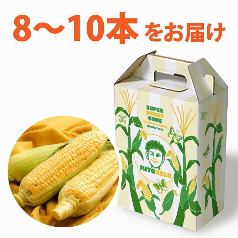 【ふるさと納税】【6月より順次発送】【本田農園】ミトレル朝どれトウモロコシ【とうもろこし コーン 野菜 新鮮 期間限定 朝採れ 糖度 お取り寄せ 旬 旬野菜 水戸市 茨城県】（JN-1） - 画像2