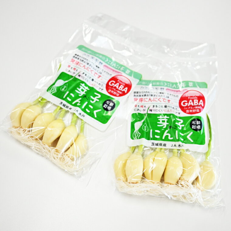 【ふるさと納税】話題の新食材！芽子にんにく 1箱（1袋6個入り×10） 芽も根もまるごと食べられる！【ニンニク ガーリック GABA ギャバ レーアミノ酪酸 臭わない スタミナ 話題 免疫 健康 元気 茨城県産 水戸市】（KJ-3） - 画像2