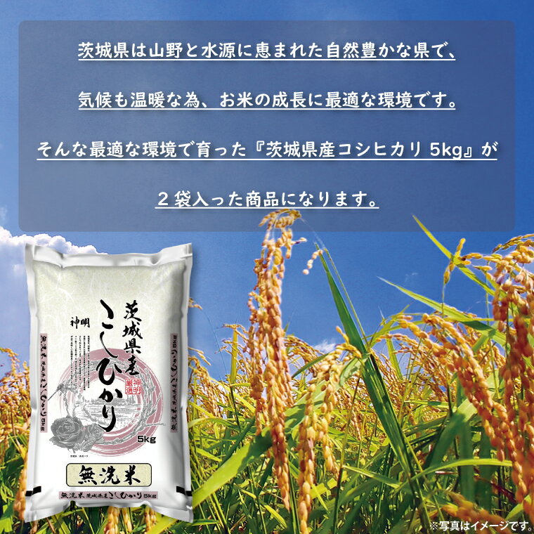 【ふるさと納税】令和7年産無洗米茨城コシヒカリ5kg×2【 無洗米 お米 こめ 米 こしひかり 茨城県 茨城県産 】（LL-6） - 画像2