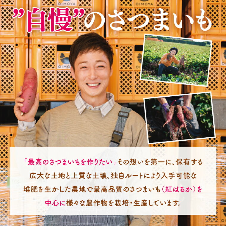 【ふるさと納税】冷凍 壺焼き芋 3種食べ比べ3kg（500g×6）（1kgずつ3品種）【さつまいも 芋 いも 焼き芋 焼芋 やきいも 紅はるか 茨城県 水戸市 水戸 15000円以内】（IN-16) - 画像2