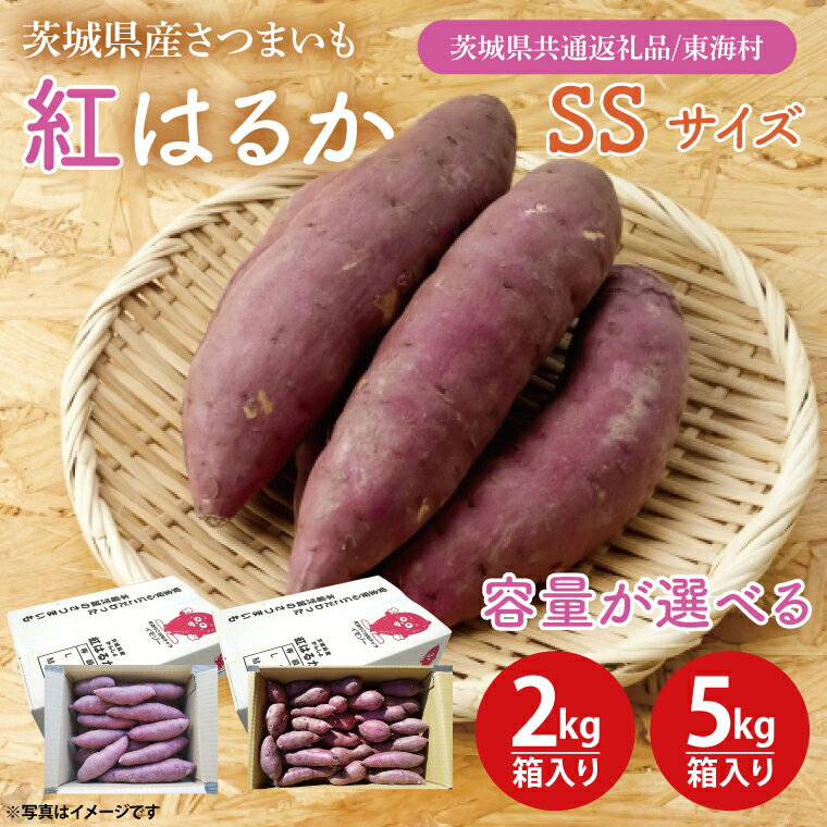 【数量限定】【10月中旬より順次発送】【選べる内容量】紅はるかSSサイズ2kg箱・5kg箱【茨城県共通返礼品/東海村】【新さつまいも 新芋 さつまいも 芋 いも 焼き芋 焼芋 やきいも 水戸市 茨城県】（KE-12）