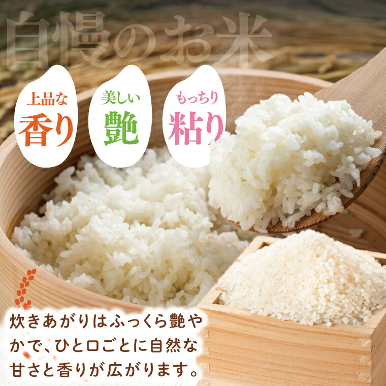 【ふるさと納税】【数量限定】【令和7年産】【選べる内容量】水戸産コシヒカリ5kg|10kg 精米【お米 ごはん コシヒカリ おにぎり ごはん 茨城県 水戸市】(NP-3) - 画像2