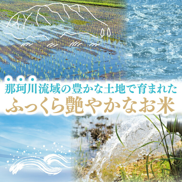 【ふるさと納税】【数量限定】【令和7年産】【選べる内容量】水戸産コシヒカリ5kg|10kg 精米【お米 ごはん コシヒカリ おにぎり ごはん 茨城県 水戸市】(NP-3) - 画像3