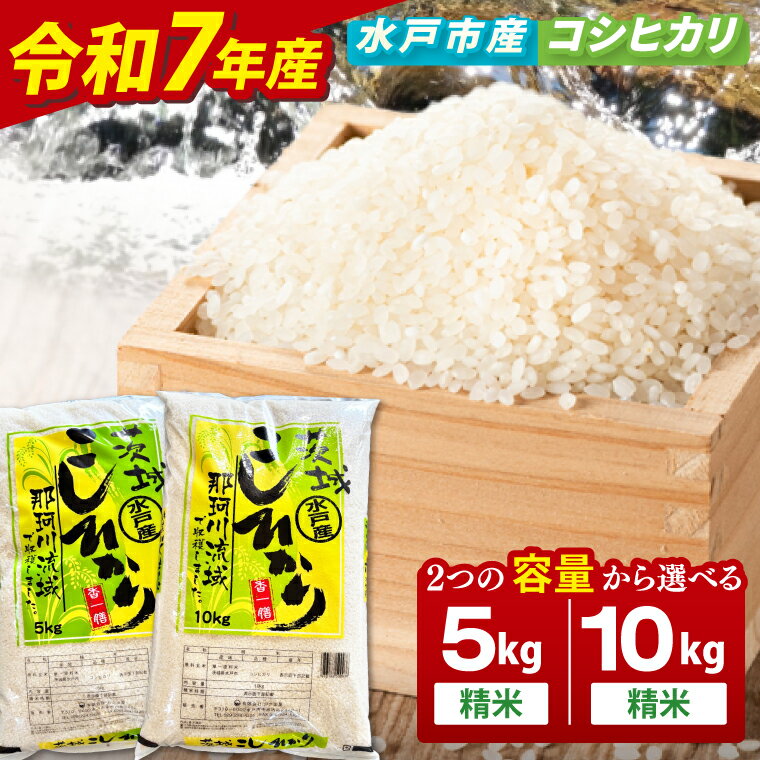 【数量限定】【令和7年産】【選べる内容量】水戸産コシヒカリ5kg|10kg 精米【お米 ごはん コシヒカリ おにぎり ごはん 茨城県 水戸市】(NP-3)
