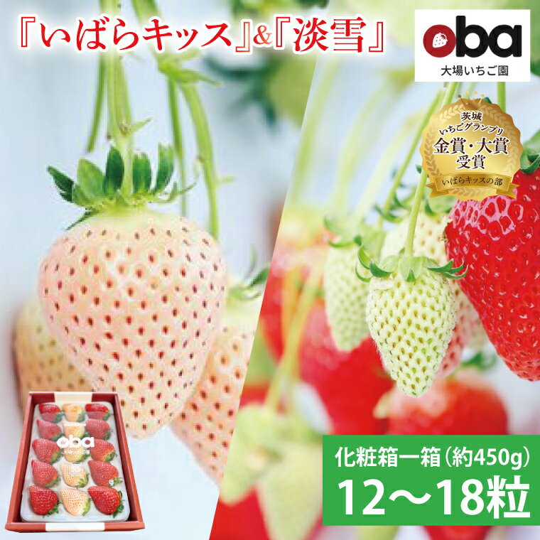 【12月中旬より順次発送】【数量限定】茨城県オリジナル品種『いばらキッス』と希少なプレミアム白イチゴ『淡雪』紅白化粧箱一箱（12粒～18粒）【いちご 苺 フルーツ 果物 くだもの 水戸市 茨城県】（DO-2）
