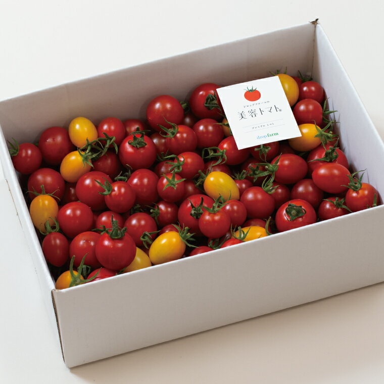 【ふるさと納税】ドロップファームの美容トマト おまかせ2kg箱(4種ミックス)【とまと フルーツトマト 野菜ソムリエ 栄養士 アイコ イエローアイコ 小鈴 フルティカ 野菜 フレッシュ 水戸市 茨城県】（CK-102） - 画像3