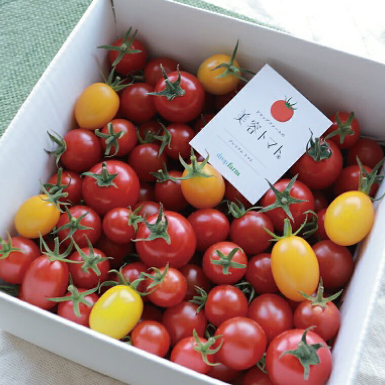 【ふるさと納税】【2ヶ月定期便】ドロップファームの美容トマトおまかせ1kg箱(4種ミックス)【とまと フルーツトマト 野菜ソムリエ 栄養士 アイコ イエローアイコ 小鈴 フルティカ 野菜 フレッシュ 水戸市 茨城県】（CK-14） - 画像3