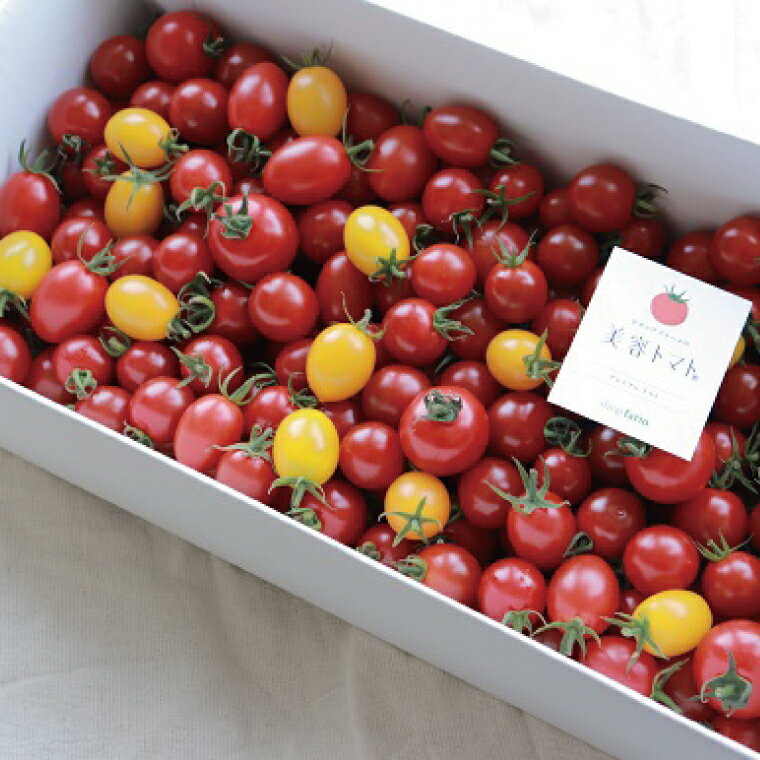 【ふるさと納税】【2ヶ月定期便】ドロップファームの美容トマトおまかせ3kg箱(4種ミックス)【とまと フルーツトマト 野菜ソムリエ 栄養士 アイコ イエローアイコ 小鈴 フルティカ 野菜 フレッシュ 水戸市 茨城県】（CK-22） - 画像3