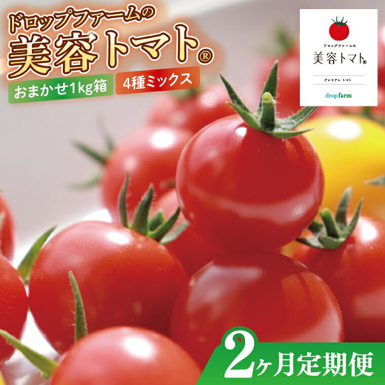 【2ヶ月定期便】ドロップファームの美容トマトおまかせ1kg箱(4種ミックス)【とまと フルーツトマト 野菜ソムリエ 栄養士 アイコ イエローアイコ 小鈴 フルティカ 野菜 フレッシュ 水戸市 茨城県】（CK-14）