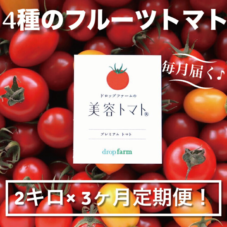 【ふるさと納税】【3ヶ月定期便】ドロップファームの美容トマトおまかせ2kg箱(4種ミックス)【とまと フルーツトマト 野菜ソムリエ 栄養士 アイコ イエローアイコ 小鈴 フルティカ 野菜 フレッシュ 水戸市 茨城県】（CK-18） - 画像2