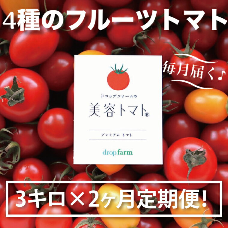 【ふるさと納税】【2ヶ月定期便】ドロップファームの美容トマトおまかせ3kg箱(4種ミックス)【とまと フルーツトマト 野菜ソムリエ 栄養士 アイコ イエローアイコ 小鈴 フルティカ 野菜 フレッシュ 水戸市 茨城県】（CK-22） - 画像2