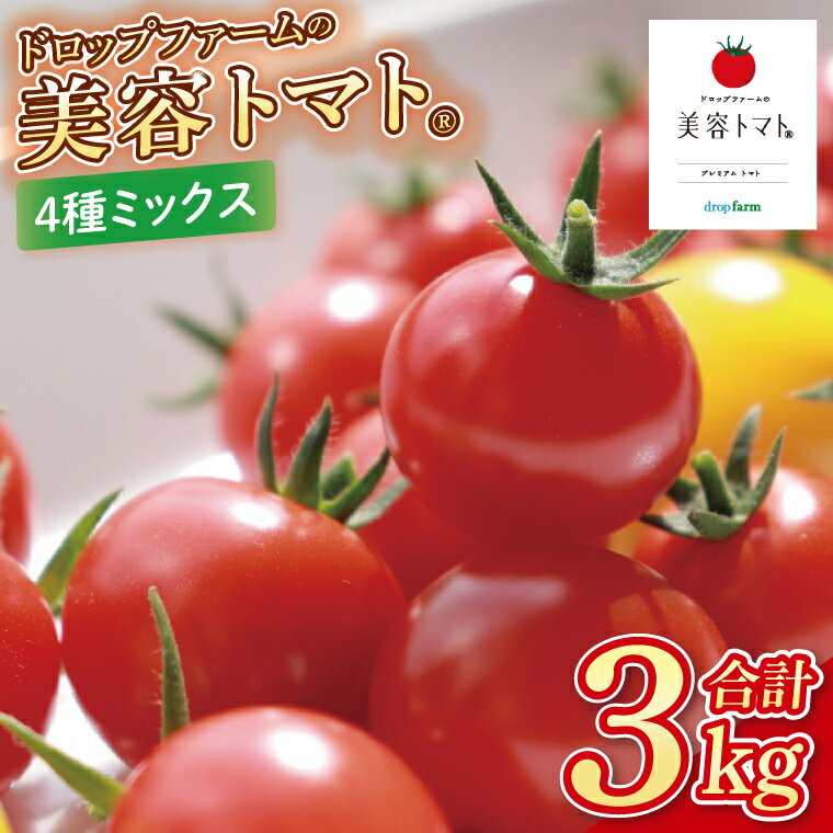 ドロップファームの美容トマトおまかせ3kg箱(4種ミックス）【とまと フルーツトマト 野菜ソムリエ 栄養士 アイコ イエローアイコ 小鈴 フルティカ 野菜 フレッシュ 水戸市 茨城県】（CK-101）
