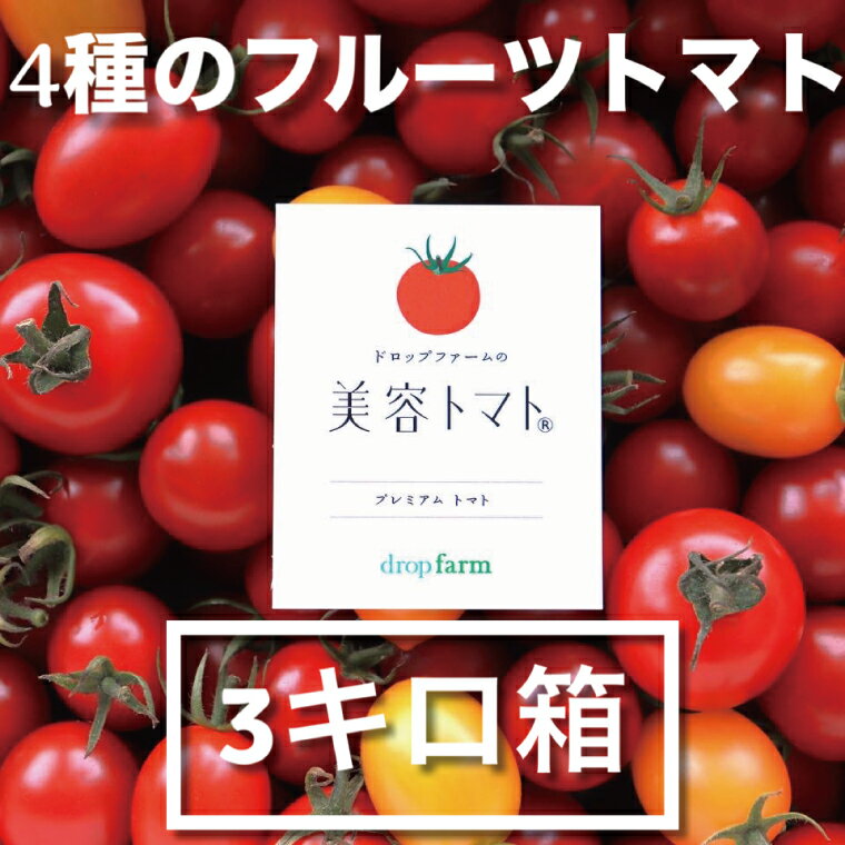 【ふるさと納税】ドロップファームの美容トマトおまかせ3kg箱(4種ミックス）【とまと フルーツトマト 野菜ソムリエ 栄養士 アイコ イエローアイコ 小鈴 フルティカ 野菜 フレッシュ 水戸市 茨城県】（CK-101） - 画像2