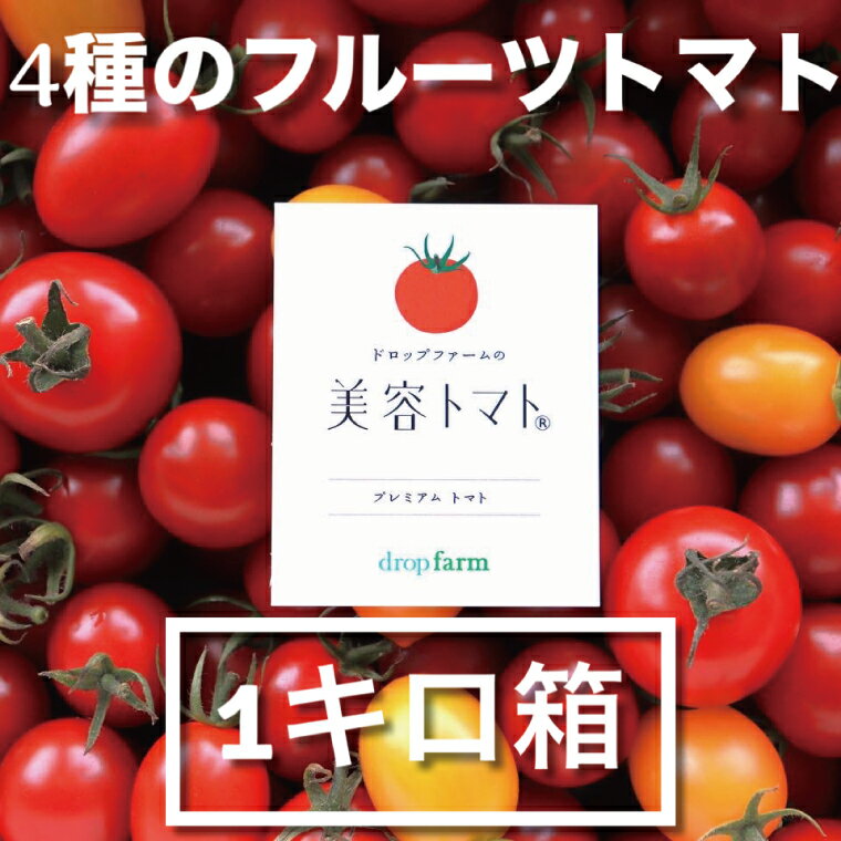 【ふるさと納税】ドロップファームの美容トマトおまかせ1kg箱(4種ミックス) とまと フルーツトマト 野菜ソムリエ 栄養士 アイコ イエローアイコ 小鈴 フルティカ 野菜 フレッシュ 水戸市 茨城県（CK-107） - 画像2