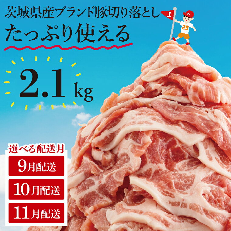 【数量限定】リピーター続出！茨城県産ブランド豚切り落とし2.1kg (300g×7p)【肉 豚肉 切り落とし 小分け 真空 真空パック 茨城県産 肉料理 肩ロース ウデ モモ バラ 水戸市 水戸】（EC-4_1）