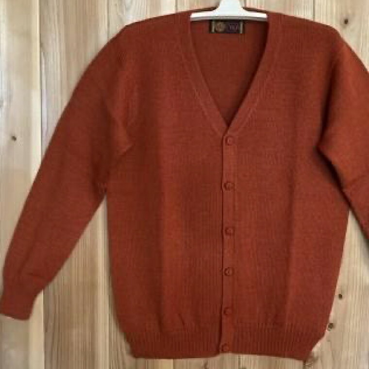 【ふるさと納税】【アルパカ専門店　T'IKA】メンズカーディガンVネック　れんがオレンジ　(アルパカ100％) 【アパレル 洋服 おしゃれ 羽織 プレゼント 毛糸 大きめ サイズ 水戸市 橙色】(AL-3) サムネイル3