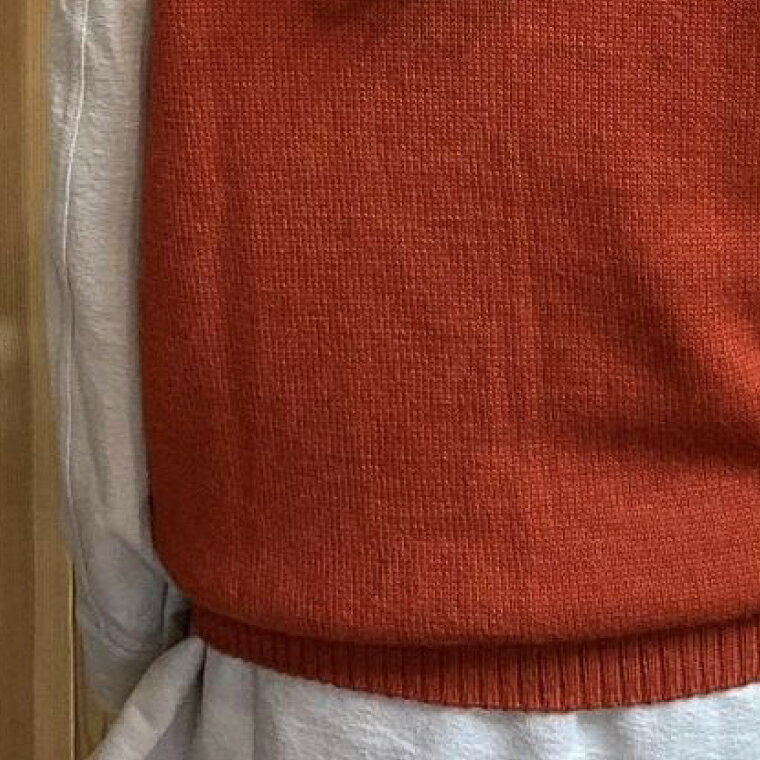 【ふるさと納税】【アルパカ専門店　T'IKA】メンズベストVネック　れんがオレンジ　(アルパカ100％) 【アパレル 洋服 おしゃれ ベスト プレゼント 毛糸 大きめ サイズ 水戸市 橙色】(AL-5) サムネイル3