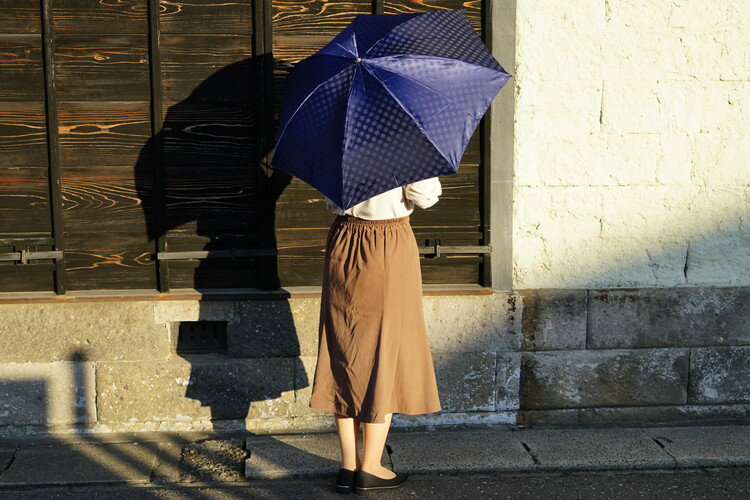 【ふるさと納税】雪華模様の折り畳み傘（サイズ55cm）カラー：ネイビー | おしゃれ 傘 かさ 折りたたみ傘 55センチ 雨具 メンズ レディース 兼用 雪の結晶 ネイビー 紺 おしゃれ かわいい 雨 梅雨 贈答 贈り物 プレゼント 父の日 母の日 お祝 ご褒美 お中元 お歳暮 景品_BL02 サムネイル2