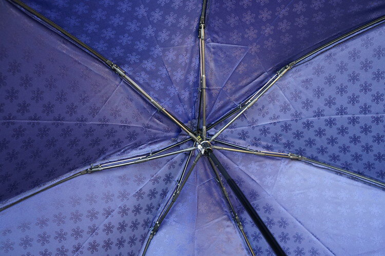 【ふるさと納税】雪華模様の折り畳み傘（サイズ55cm）カラー：ネイビー | おしゃれ 傘 かさ 折りたたみ傘 55センチ 雨具 メンズ レディース 兼用 雪の結晶 ネイビー 紺 おしゃれ かわいい 雨 梅雨 贈答 贈り物 プレゼント 父の日 母の日 お祝 ご褒美 お中元 お歳暮 景品_BL02 サムネイル3
